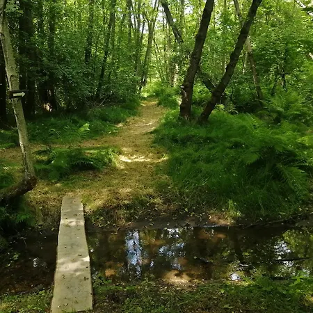 Apartamento őrségi Lápréti Szoce