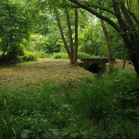 Apartman őrségi Lápréti