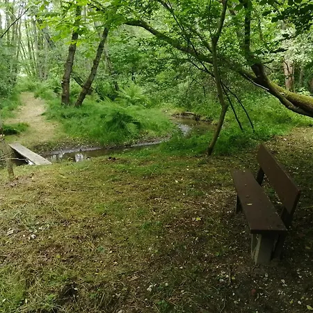 őrségi Lápréti Apartman Szőce