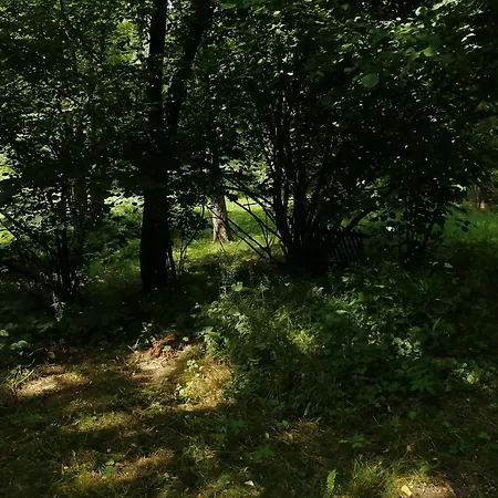 őrségi Lápréti * Szőce