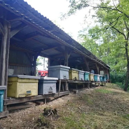 őrségi Lápréti *