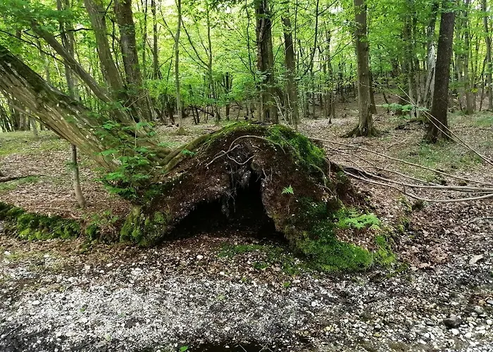 Orsegi Lapreti Vendeghaz アパート Szőce