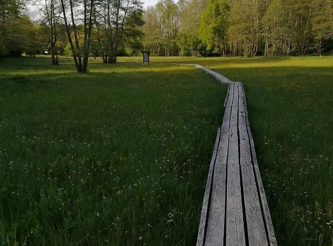 Orsegi Lapreti Vendeghaz