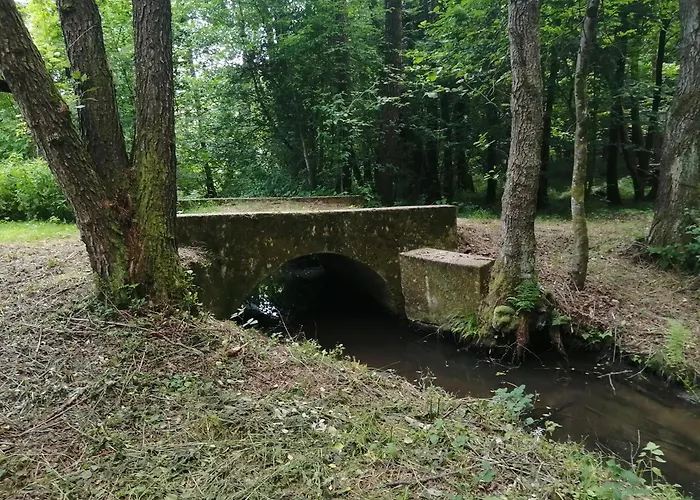 őrségi Lápréti Apartman Szőce