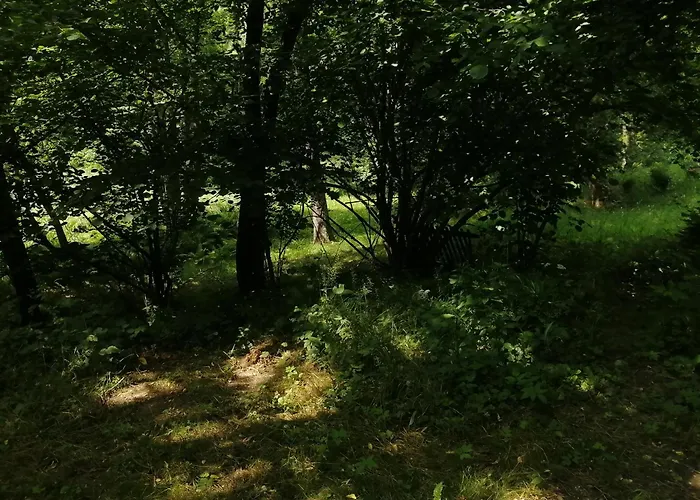 őrségi Lápréti * Szőce