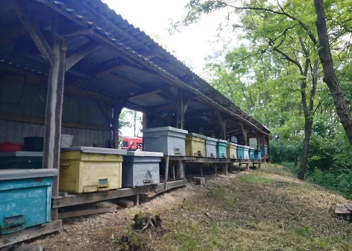 őrségi Lápréti *